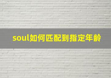 soul如何匹配到指定年龄