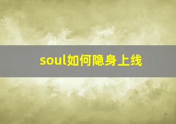 soul如何隐身上线