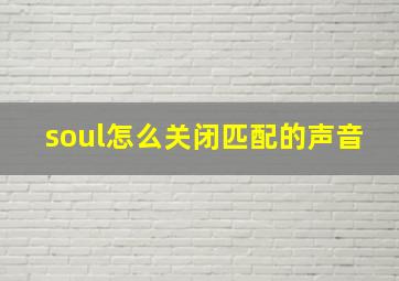 soul怎么关闭匹配的声音