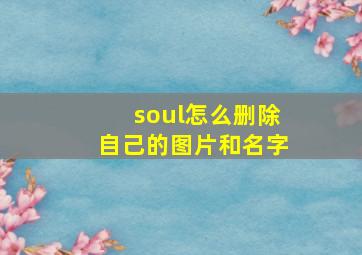 soul怎么删除自己的图片和名字