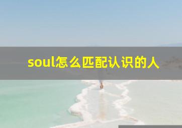 soul怎么匹配认识的人