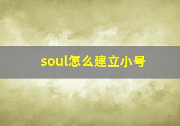 soul怎么建立小号