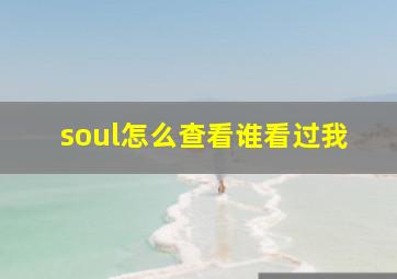 soul怎么查看谁看过我