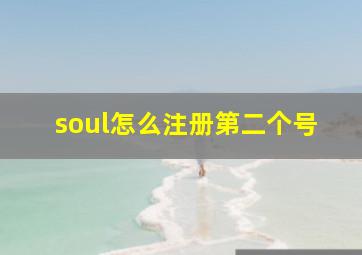 soul怎么注册第二个号