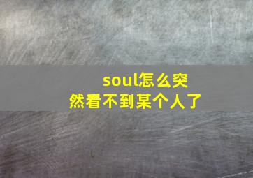 soul怎么突然看不到某个人了