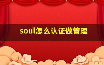 soul怎么认证做管理