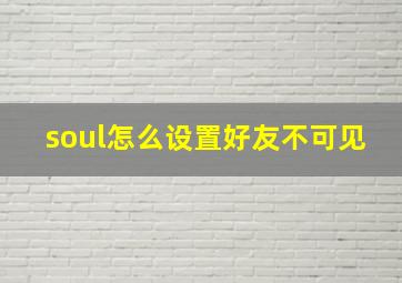 soul怎么设置好友不可见