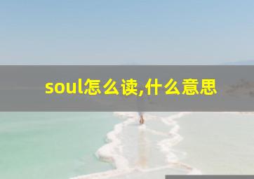 soul怎么读,什么意思