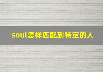 soul怎样匹配到特定的人