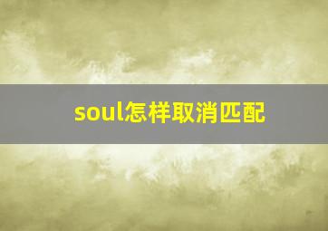 soul怎样取消匹配