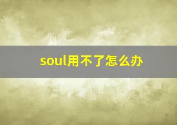 soul用不了怎么办