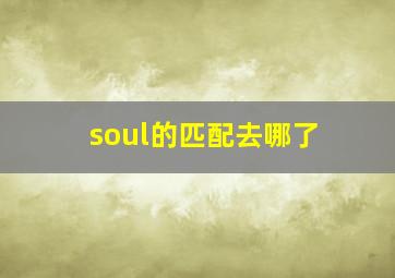 soul的匹配去哪了