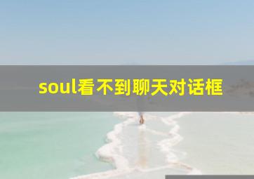 soul看不到聊天对话框