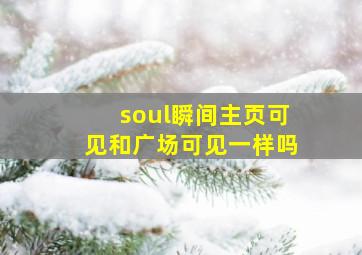 soul瞬间主页可见和广场可见一样吗