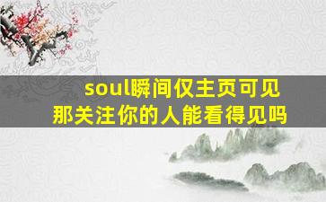 soul瞬间仅主页可见那关注你的人能看得见吗