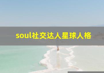 soul社交达人星球人格