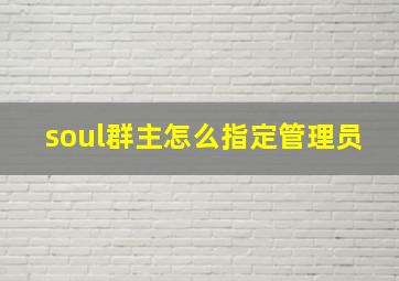 soul群主怎么指定管理员