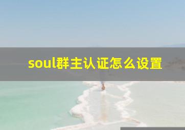 soul群主认证怎么设置