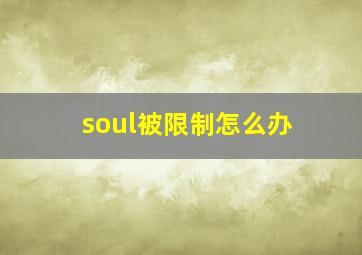 soul被限制怎么办