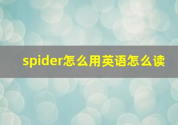 spider怎么用英语怎么读