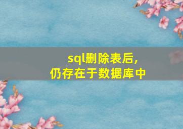 sql删除表后,仍存在于数据库中