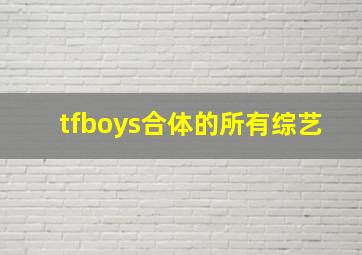 tfboys合体的所有综艺