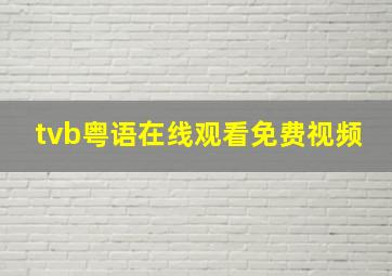 tvb粤语在线观看免费视频