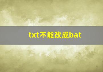 txt不能改成bat