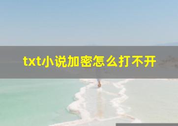 txt小说加密怎么打不开