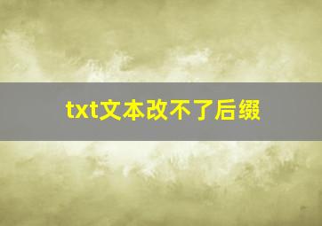 txt文本改不了后缀