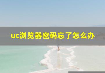 uc浏览器密码忘了怎么办