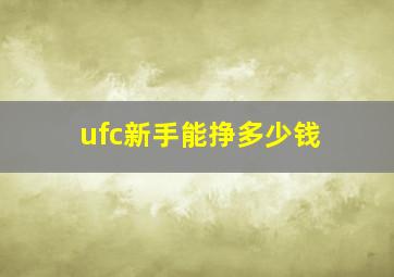 ufc新手能挣多少钱