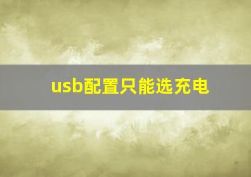 usb配置只能选充电