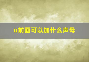 u前面可以加什么声母