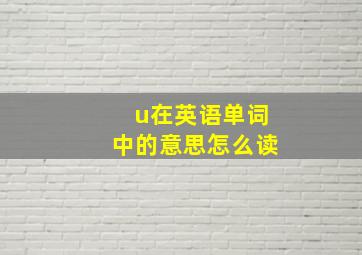 u在英语单词中的意思怎么读