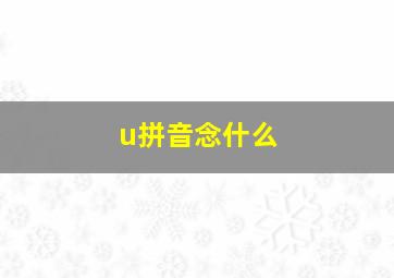 u拼音念什么