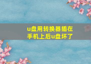 u盘用转换器插在手机上后u盘坏了