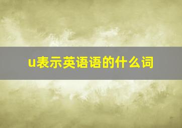 u表示英语语的什么词