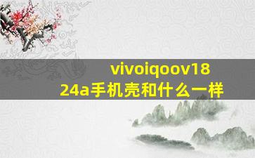 vivoiqoov1824a手机壳和什么一样