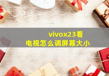 vivox23看电视怎么调屏幕大小