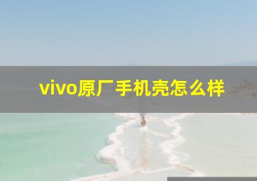 vivo原厂手机壳怎么样