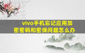 vivo手机忘记应用加密密码和密保问题怎么办