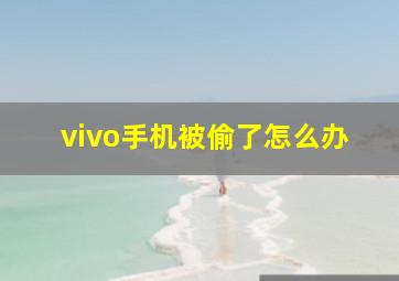 vivo手机被偷了怎么办