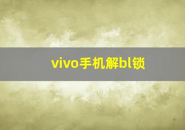 vivo手机解bl锁