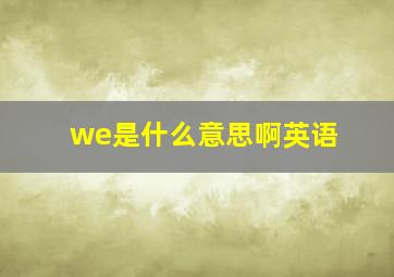 we是什么意思啊英语