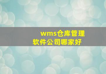 wms仓库管理软件公司哪家好