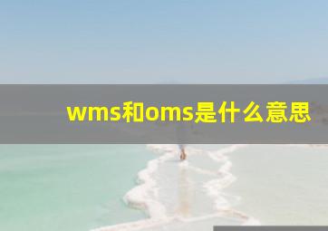 wms和oms是什么意思