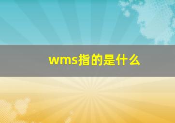 wms指的是什么