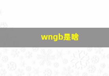 wngb是啥