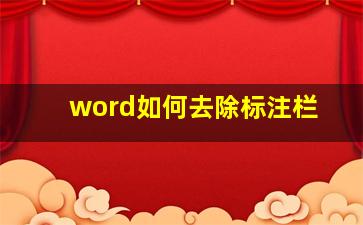 word如何去除标注栏